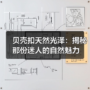 贝壳扣天然光泽：揭秘那份迷人的自然魅力