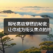 揭秘高级穿搭的秘密:让你成为街头焦点的终极指南(图4) 揭秘高级穿搭的秘密:让你成为街头焦点的终极指南(图4)