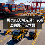 贝壳扣天然光泽：衣着上的海洋艺术品（图1）