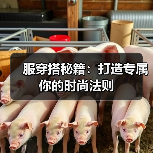 服穿搭秘籍:打造专属你的时尚法则(图2) 服穿搭秘籍:打造专属你的时尚法则(图2)