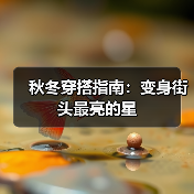 秋冬穿搭指南：变身街头最亮的星（图2）