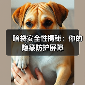 暗袋安全性揭秘：你的隐藏防护屏障（图1）