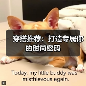 穿搭推荐：打造专属你的时尚密码（图1）
