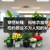 穿搭秘籍：揭秘衣服穿搭的那些不为人知的秘密（图1）