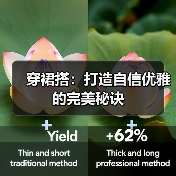 穿裙搭：打造自信优雅的完美秘诀（图1）