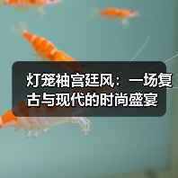 灯笼袖宫廷风:一场复古与现代的时尚盛宴(图3) 灯笼袖宫廷风:一场复古与现代的时尚盛宴(图3)