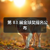 第 83 届金球奖提名公布