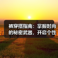 裤穿搭指南：掌握时尚的秘密武器，开启个性新风尚（图2）