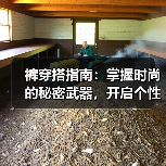 裤穿搭指南：掌握时尚的秘密武器，开启个性新风尚（图3）