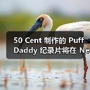 50 Cent 制作的 Puff Daddy 纪录片将在 Netflix 上线（图3）