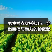 男生衬衣穿搭技巧:穿出自信与魅力的秘密武器(图4) 男生衬衣穿搭技巧:穿出自信与魅力的秘密武器(图4)