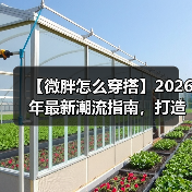 【微胖怎么穿搭】2026年最新潮流指南,打造你的专属风格!(图3) 【微胖怎么穿搭】2026年最新潮流指南,打造你的专属风格!(图3)