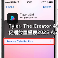 Tyler, The Creator 45亿播放量登顶2025 Apple Music年度艺人（图2）