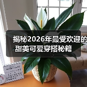 揭秘2026年最受欢迎的甜美可爱穿搭秘籍(图4) 揭秘2026年最受欢迎的甜美可爱穿搭秘籍(图4)