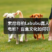 索尼将拍Labubu真人电影？盲盒文化如何引爆大银幕？（图4）