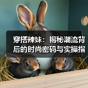 穿搭辣妹：揭秘潮流背后的时尚密码与实操指南（图2）