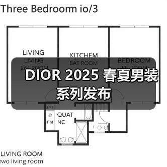 DIOR 2025 春夏男装系列发布（图4）