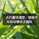 古代服饰演变：穿越千年的华丽变迁揭秘