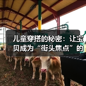 儿童穿搭的秘密：让宝贝成为“街头焦点”的技巧