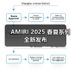 AMIRI 2025 春夏系列全新发布（图4）