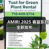 AMIRI 2025 春夏系列全新发布