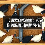 【温柔穿搭指南：打造你的温暖时尚新风格】（图3）