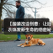 【服装改造创意：让旧衣焕发新生命的绝密秘籍】（图2）