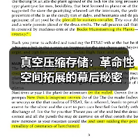 真空压缩存储：革命性空间拓展的幕后秘密（图3）