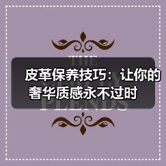 皮革保养技巧:让你的奢华质感永不过时(图2) 皮革保养技巧:让你的奢华质感永不过时(图2)