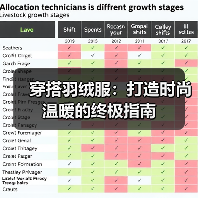 穿搭羽绒服：打造时尚温暖的终极指南（图3）