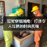 短发穿搭指南:打造令人惊艳的时尚风格(图4) 短发穿搭指南:打造令人惊艳的时尚风格(图4)