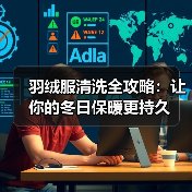 羽绒服清洗全攻略：让你的冬日保暖更持久（图4）