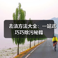 去渍方法大全:一站式巧巧除污秘籍(图3) 去渍方法大全:一站式巧巧除污秘籍(图3)