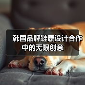 韩国品牌鞋履设计合作中的无限创意（图2）