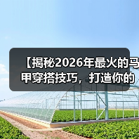 【揭秘2026年最火的马甲穿搭技巧，打造你的时尚秘密武器】（图2）