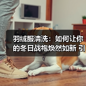 羽绒服清洗:如何让你的冬日战袍焕然如新 引领2026年洗护新风潮(图2) 羽绒服清洗:如何让你的冬日战袍焕然如新 引领2026年洗护新风潮(图2)