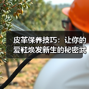 皮革保养技巧:让你的爱鞋焕发新生的秘密武器(图4) 皮革保养技巧:让你的爱鞋焕发新生的秘密武器(图4)