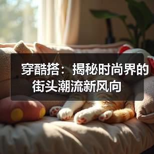 穿酷搭:揭秘时尚界的街头潮流新风向(图1) 穿酷搭:揭秘时尚界的街头潮流新风向(图1)