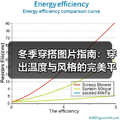 冬季穿搭图片指南:穿出温度与风格的完美平衡(图4) 冬季穿搭图片指南:穿出温度与风格的完美平衡(图4)