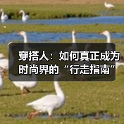 穿搭人：如何真正成为时尚界的“行走指南”（图3）