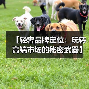 【轻奢品牌定位：玩转高端市场的秘密武器】