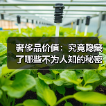 奢侈品价值:究竟隐藏了哪些不为人知的秘密(图4) 奢侈品价值:究竟隐藏了哪些不为人知的秘密(图4)
