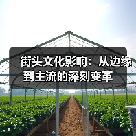 街头文化影响：从边缘到主流的深刻变革（图4）