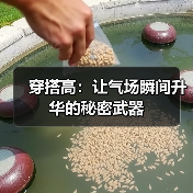 穿搭高:让气场瞬间升华的秘密武器(图3) 穿搭高:让气场瞬间升华的秘密武器(图3)
