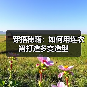 穿搭秘籍:如何用连衣裙打造多变造型(图3) 穿搭秘籍:如何用连衣裙打造多变造型(图3)