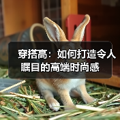 穿搭高：如何打造令人瞩目的高端时尚感（图4）