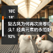 复古风为何再次席卷街头？经典元素的永恒魅力揭秘
