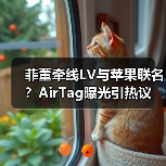 菲董牵线LV与苹果联名?AirTag曝光引热议(图2) 菲董牵线LV与苹果联名?AirTag曝光引热议(图2)