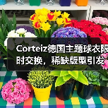 Corteiz德国主题球衣限时交换,稀缺版型引发抢购热潮(图2) Corteiz德国主题球衣限时交换,稀缺版型引发抢购热潮(图2)