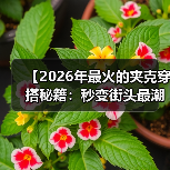 【2026年最火的夹克穿搭秘籍:秒变街头最潮达人】(图2) 【2026年最火的夹克穿搭秘籍:秒变街头最潮达人】(图2)